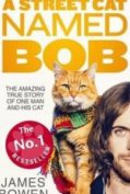 A Street Cat Named Bob (2016) บ๊อบ แมว เพื่อน คน  