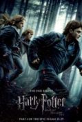 Harry Potter and the Deathly Hallows: Part 1 (2010) แฮร์รี่ พอตเตอร์ กับ เครื่องรางยมฑูต ภาค 7.1  