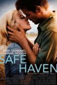 Safe Haven (2013) รักแท้ หยุดไว้ที่เธอ  