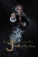 Master Of The Shadowless Kick Wong Kei-Ying (2016) ยอดยุทธ พ่อหนุ่มไร้เงา  