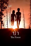 The Forest (2016) ป่า  