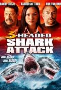 3 Headed Shark Attack (2015) โคตรฉลาม 3 หัวเพชฌฆาต  
