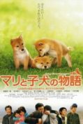 A Tale of Mari and Three Puppies (2007) เพื่อนซื่อ ชื่อ มาริ  