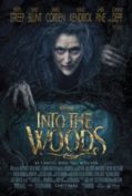 Into the Woods (2014) มหัศจรรย์คำสาปแห่งป่าพิศวง  