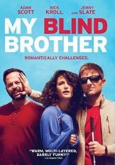 My Blind Brother (2016) พี่ชายคนตาบอด  