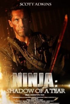 Ninja 2 Shadow of A Tear (2013) นินจานักฆ่าพยายาม 2