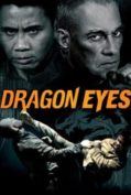 Dragon Eyes (2012) มหาประลัยเลือดมังกร  