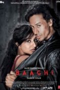Baaghi (2016) ยอดคนสุดกระห่ำ(ซับไทย)  