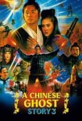 A Chinese Ghost Story 3 (1991) โปเยโปโลเย ภาค 3  