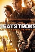 Heatstroke (2013) อีกอึดหัวใจสู้เพื่อรัก  