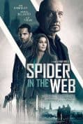 Spider in the Web (2019) สไปเดอร์ อิน เดอะเว็บ  
