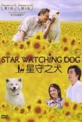 Star Watching Dog (2011) หมาเฝ้าบ้าน  