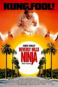 Beverly Hills Ninja (1997) ตุ้ยนุ้ยนินจาฮากลิ้ง  