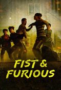 Fist and Furious (2019)  