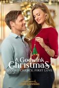 A Godwink Christmas: Second Chance, First Love (2020) ปาฏิหาริย์คริสต์มาส รักครั้งใหม่หัวใจเดิม  