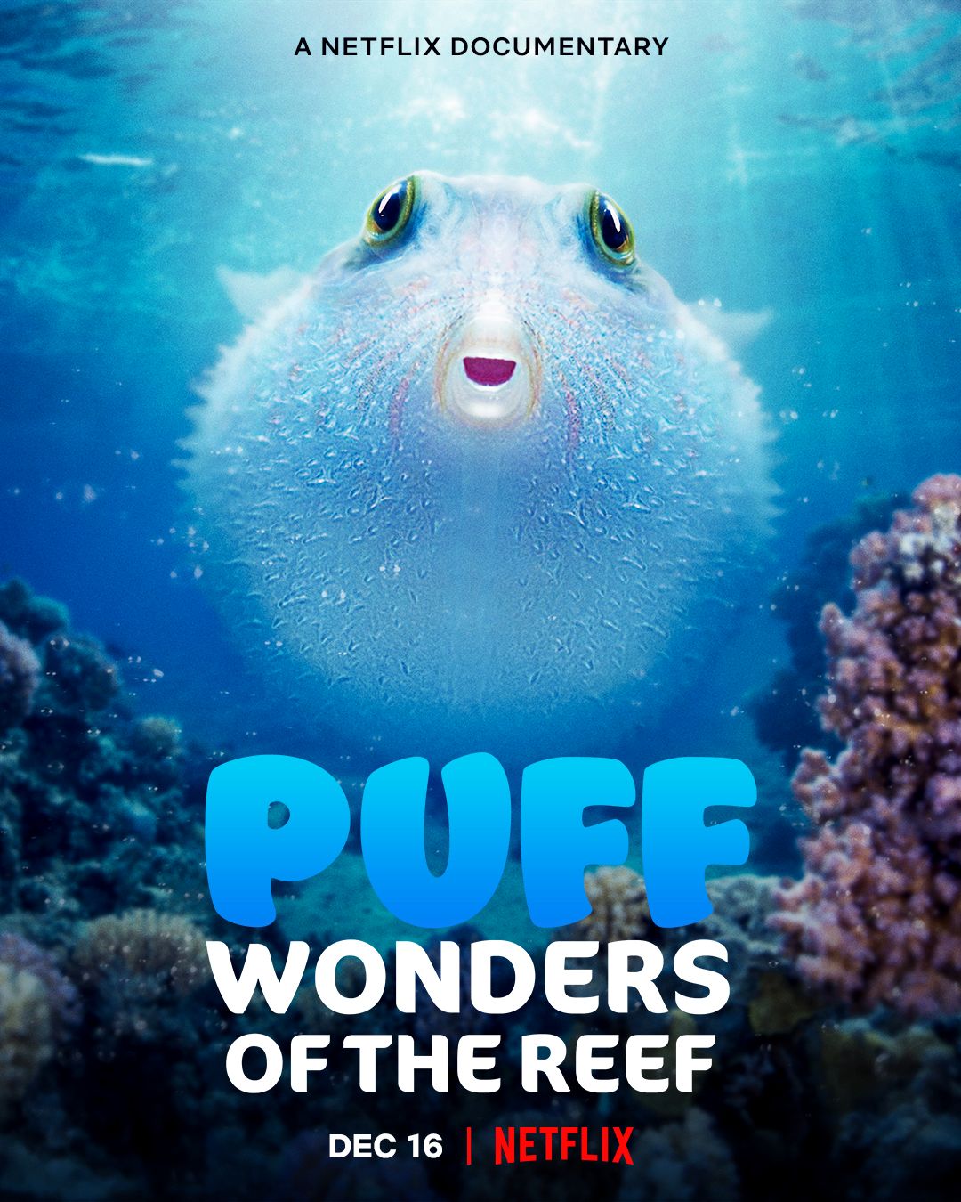 Puff: Wonders of the Reef (2021) พัฟฟ์ มหัศจรรย์แห่งปะการัง