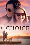 The Choice (2016) ถ้าเลือกได้ คือรักเธอ  