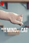Inside the Mind of a Cat (2022) คิดแบบแมวๆ  